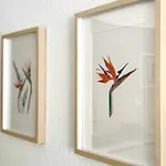 La Esterlicia Apartamento *