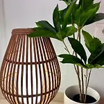 Apartamento La Esterlicia Los Abrigos