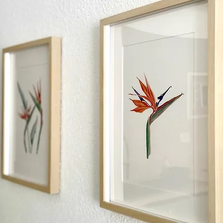 La Esterlicia Апартаменты *