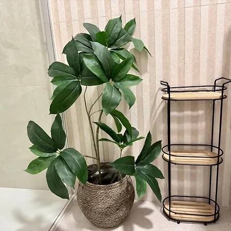 アパート La Esterlicia *